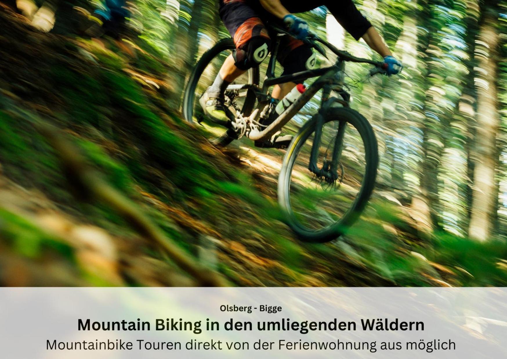 Ferienwohnungen Sauerland Und 올스버그 외부 사진
