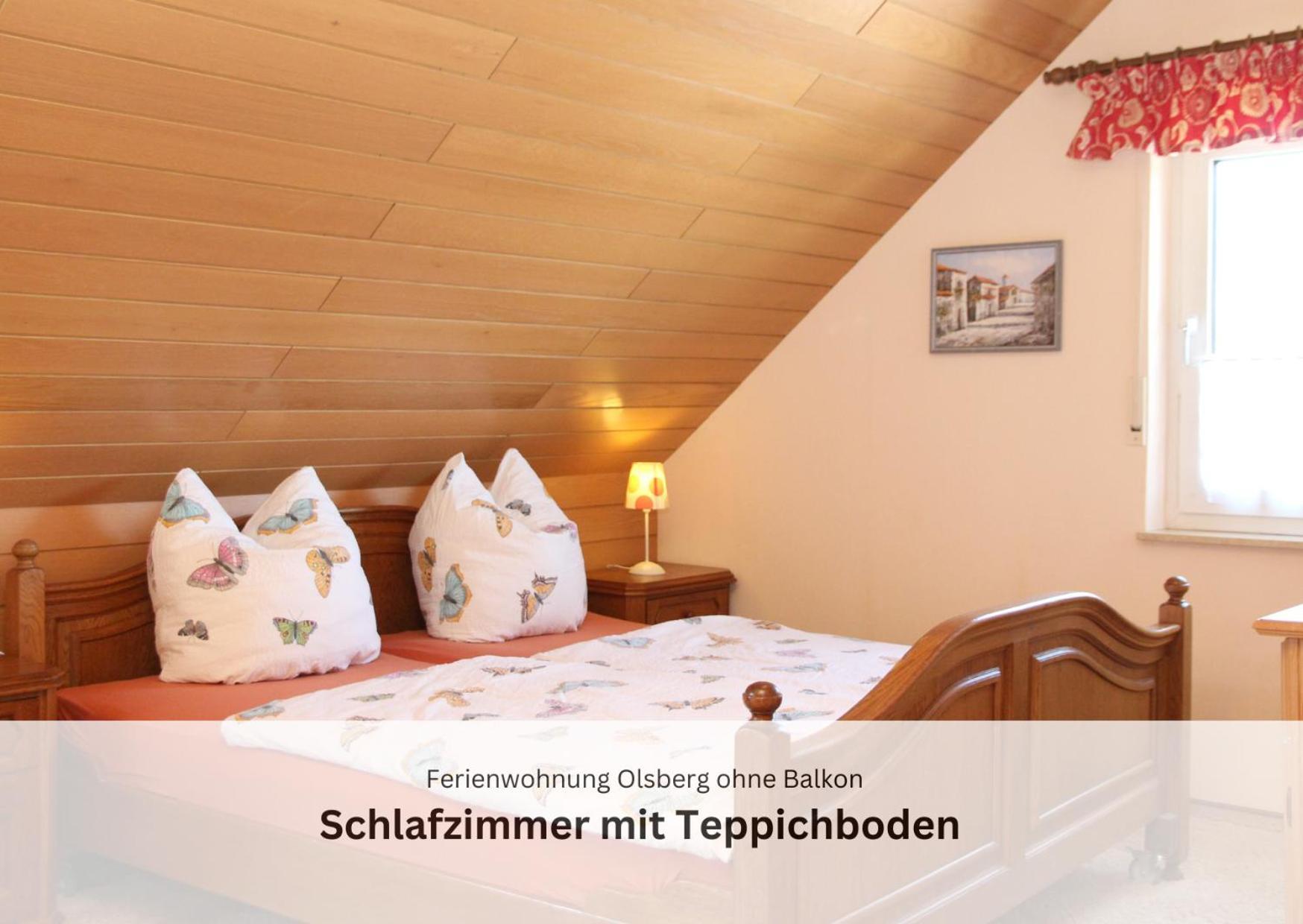 Ferienwohnungen Sauerland Und 올스버그 외부 사진