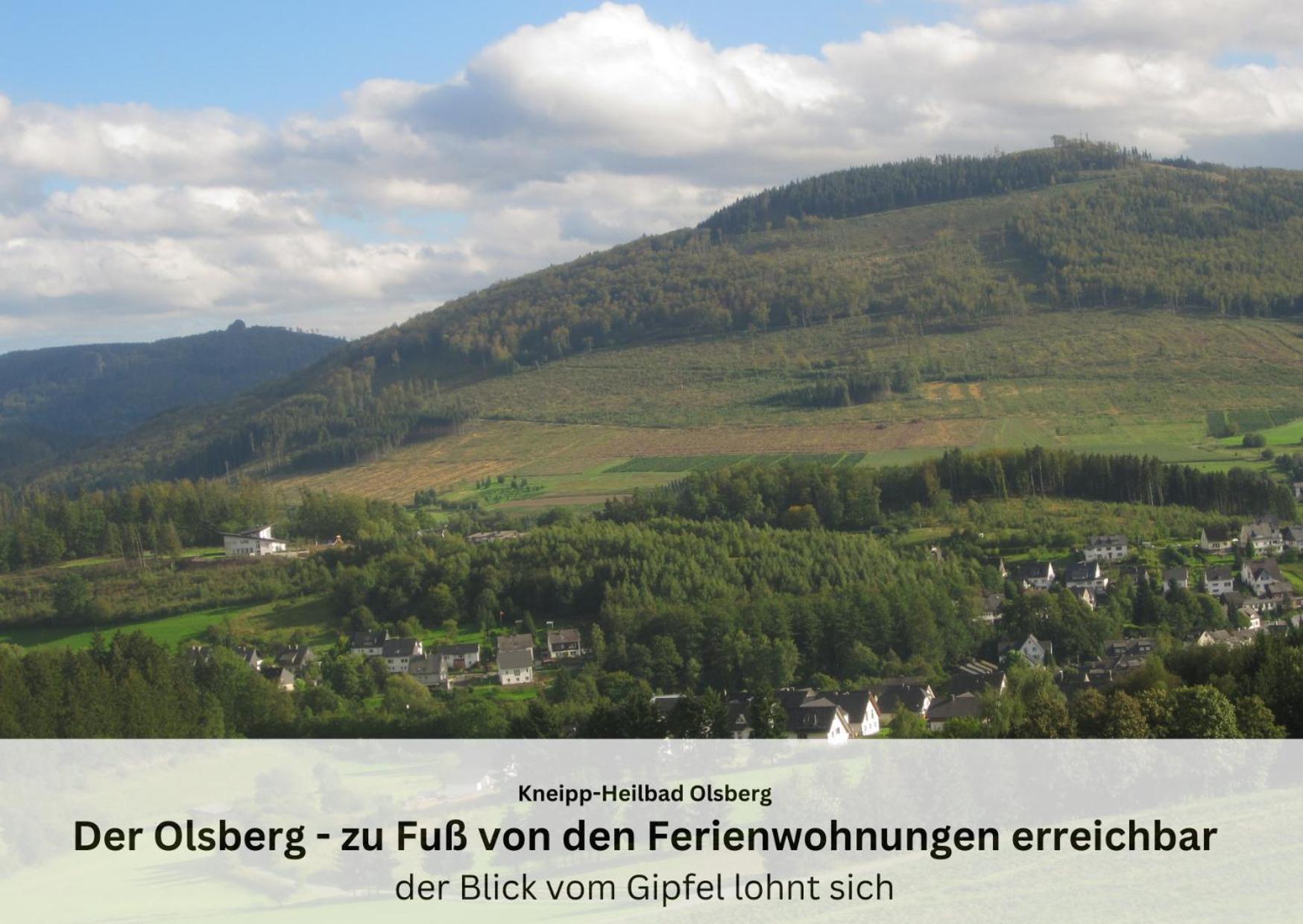 Ferienwohnungen Sauerland Und 올스버그 외부 사진