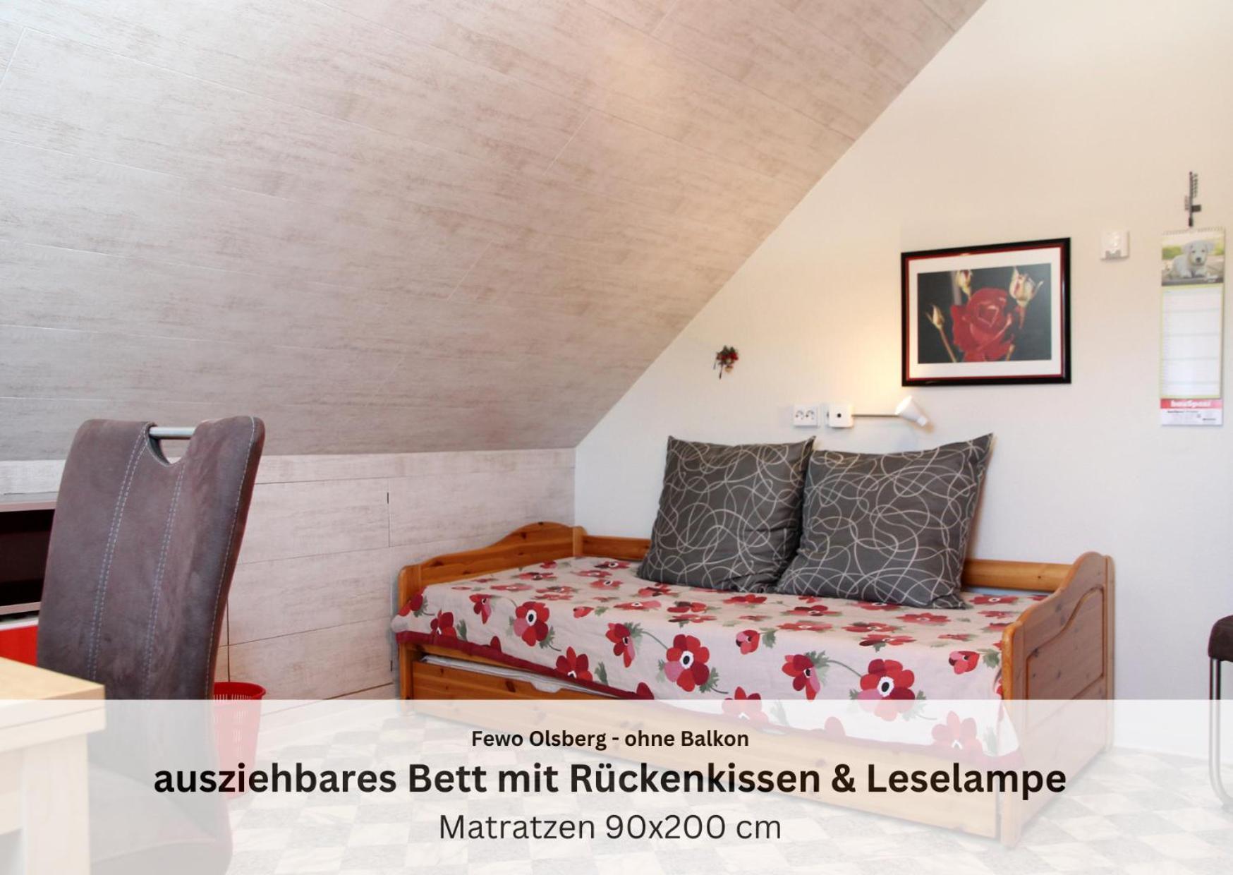 Ferienwohnungen Sauerland Und 올스버그 외부 사진