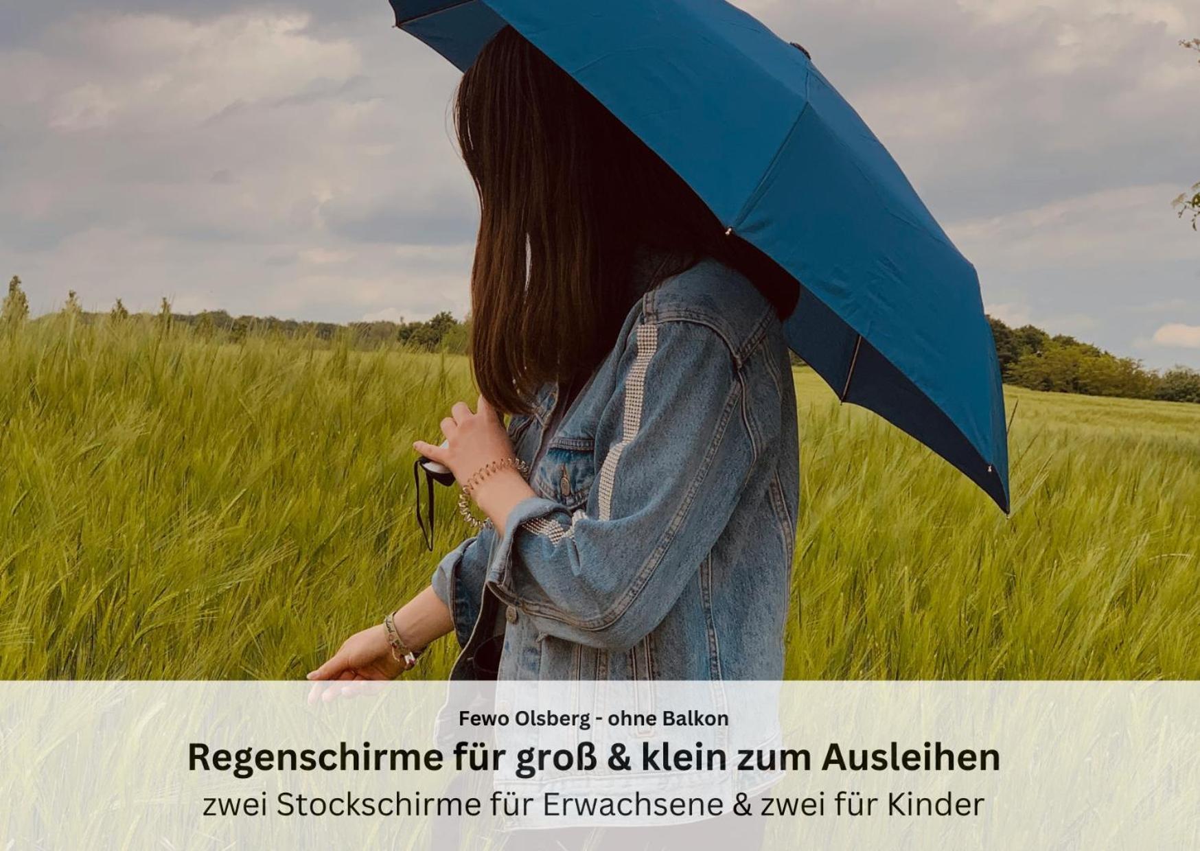 Ferienwohnungen Sauerland Und 올스버그 외부 사진