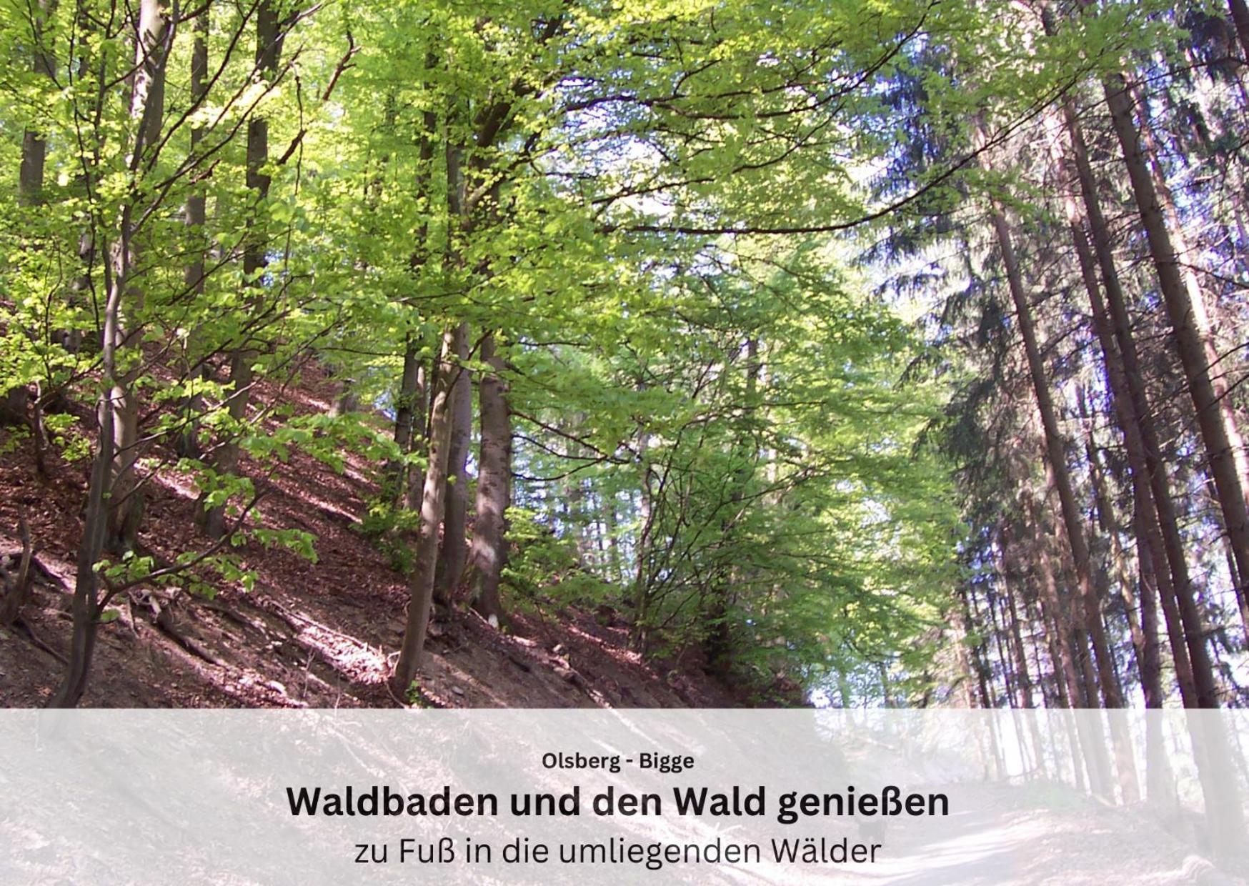 Ferienwohnungen Sauerland Und 올스버그 외부 사진